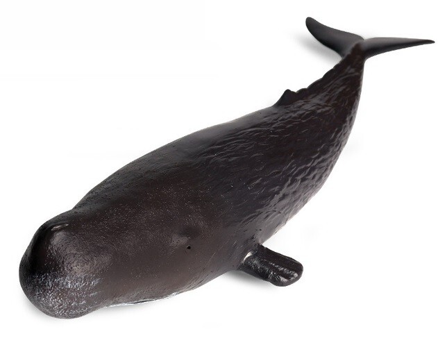 Sperm Whale Sea Animal Toy 13″ PVC Action Figure Doll Kids Toys Party Gifts
