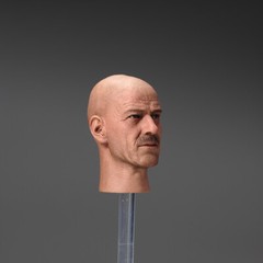 1/6 Bryan Cranston Heisenberg Teacher Male Head Sculpt Model 12in Action Figures