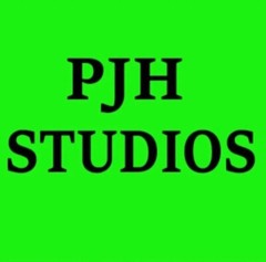 PJH STUDIOS – STAR WARS the Mandalorian – Original Acrylic Painting On Canvas ⭐️