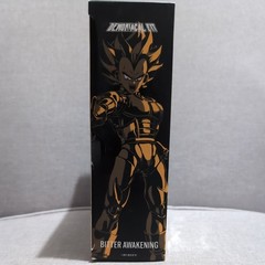 Demoniacal Fit Bitter Awakening READ Description