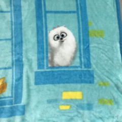The Secret Life Of Pets 2 Plush Throw Blanket Lovey 37×47” Very Hard To Find!