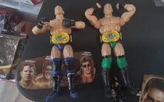 WWE Mattel Legends Series #17 Shamrock w/Chase HBK AJ Styles Ultimate Warrior