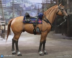 Brown-Red War Horse DiD 1/6 Scale E60082 for Captain nathan