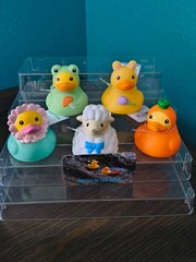 Target Rubber Ducks – 16 Variations – Pick Which One You Want