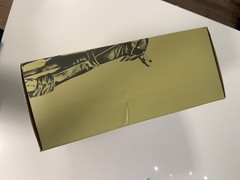 Destiny series Hunter Goldspiral Shader 1/6 Action Figure