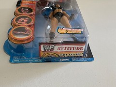 WWF WWE WrestleMania XVII Series 9 Chyna action figure Jakks 2001 NEW Real Scan