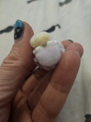 Sanrio Kuromi Fluffy Little Darling Moetch Bean Purple Flocked Miniature Figure