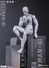 Dam Toys 1/12 Crash Test Dummy “GREYMAN” Action Figure DAM-DPS11 in USA