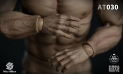 Worldbox 1/6 Durable Muscular SUPER STRONG Body AT030 12″ Male Figure ❶USA❶