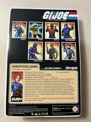 Scarlett Haslab SkyStriker Sky Striker GI Joe MOC