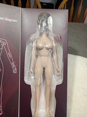 JIAOU DOLL 1/6 FEMALE SEAMLESS LARGE Bust Figure Body w/ Wheat skin