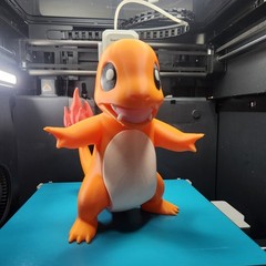 The Original 3 Starter Types Free Shipping