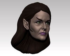 Commander Lady Custom Action Figure Head 1:9 or 1:6 Mego