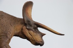 PNSO 1/35 New Version Triceratops Model Adult Children Toys Gift Dinosaur Figure