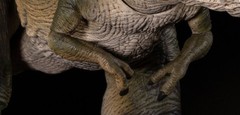 IN STOCK Nanmu Alpha Sovereign of the Oath Tyrannosaurus Rex 3.0 Action Figure