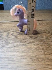 My Little Pony G2 MLP Petal Blossom Purple Pony Pink Hair Vintage 1997 Figure