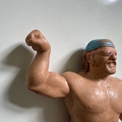 WWF WWE Titan Sports Wrestling Superstars Jesse The Body Ventura