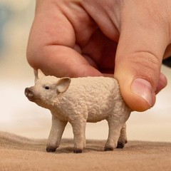 schleich 14893 Mangalica Piglet, from 3 years FARM WORLD – Figurine, 2 x 6 x 4 c