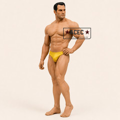 Custom Uncensored PHICEN 1/6 Hero 12″ Male Seamless Super Muscular Figure Set