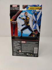 Marvel Legends WASP Ant-Man & THE WASP Quantumania 6″ Figure BAF Cassie Lang NEW