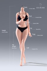 1/6 Large Bust Thin Waist Seamless Body For 12″ Female Action Figure Model YM501
