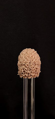 Michael Jackson Custom Head Sculpt 1/12 1/10 1/6