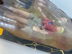 Mattel Jurassic Park Amber Collection Dr Ellie Sattler 6″ Figure NEW See descrip