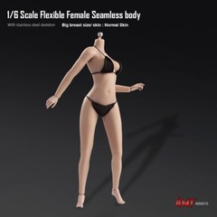ANT 1/6 Super Flexible Seamless Female Normal Mid Breast Action Figure Body Doll