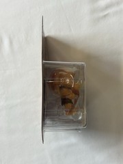 2020 Phat Mojo Series 1 YuGiOh (Exodia the Forbidden One) Figure exclusive card