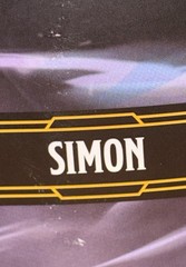 Golden Archive Dungeons & Dragons Honor Among Thieves ( SIMON ) Figure