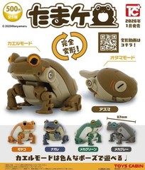 Toys Cabin TC Gacha Tamakero Tadpole to Frog Transforming Figure – 1 Random