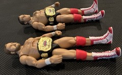 WWE Mattel Matty Collector Arn Anderson Tully Blanchard Brain Busters!
