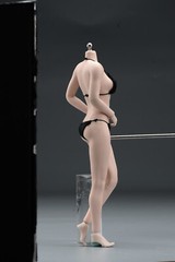 US 1/6 Female Mid Bust Pale Skin Flexible Seamless Body 12in Action Figure Doll