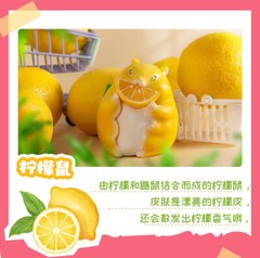 Wild Vegetable Fairy Fruit Fairy Blind Box Cute Animal Toy Hand New !