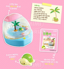Singing Kkobuk / Add-Water Singing Moving Turtle Toy, Korean Kids Toy 2025