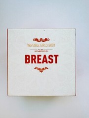 Worldbox 1/6 Female E Cup Big Breast Replacement Kit For 12″ Action Figure Body