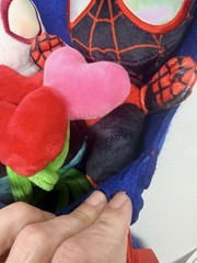 Spider-Man & Ghost-Spider Marvel Valentine’s Day 14″ Plush Bouquet 2025