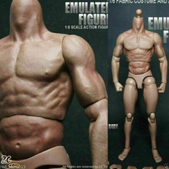 ZC Toys 12″ Muscular Male Action Figure Body Fit 1/6 Scale Hot Toys Head Sculpt