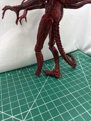 Aliens Genocide Xenomorph Alien Warrior Red Series 5 NECA Action Figure