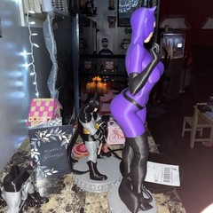 Catwoman Knight Fall
