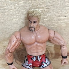Jeff Jarrett 6″ Wrestling Action Figure Pre-Owned