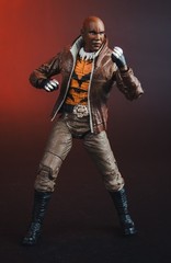 The New 52 DC Multiverse Bronze Tiger Action Figure ***IN-HAND***