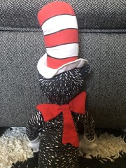 16” Dr Seuss CAT IN THE HAT Plush Determined Productions Random House Doll Toy
