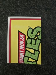 Teenage Mutant Ninja Turtles 11 Sticker Lot, 5 Sticker Card, 4 Mirage Stickers