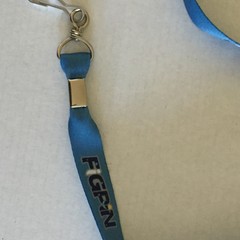 NEW 2024 D23 Expo Figpin Lanyard