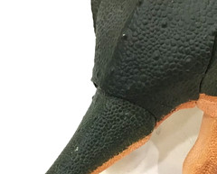 CREATIVE BEAST STUDIO – BEASTS OF THE MESOZOIC TOROSAURUS – FAN’S CHOICE 1/18