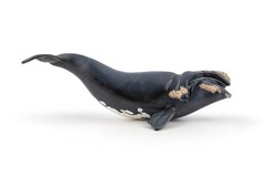 Papo Right Whale Hand Painted Figurine – Heirloom Quality Collectible No. 56057