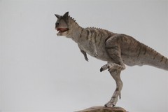 MEMORY MUSEUM 1/15 Carnotaurus Limited Edition Dinosaur Model Figure Toys Gift