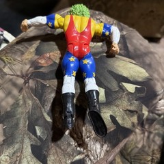 JAKKS Pacific WWE 2003 Adjustable Multicolor Clown Wrestling Action Figure
