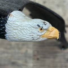Vintage Big Jim Bald Eagle 1970s Mattel Hong Kong Figure Accessory